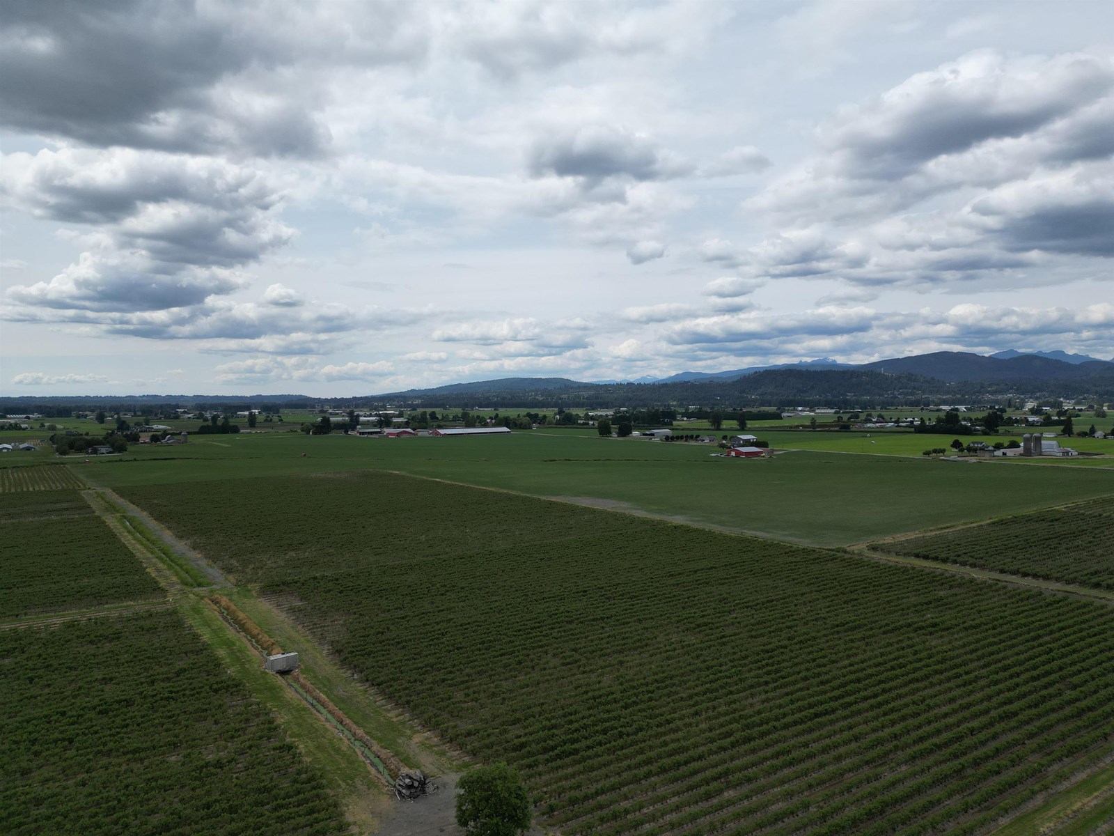 35925 FORE ROAD, Abbotsford