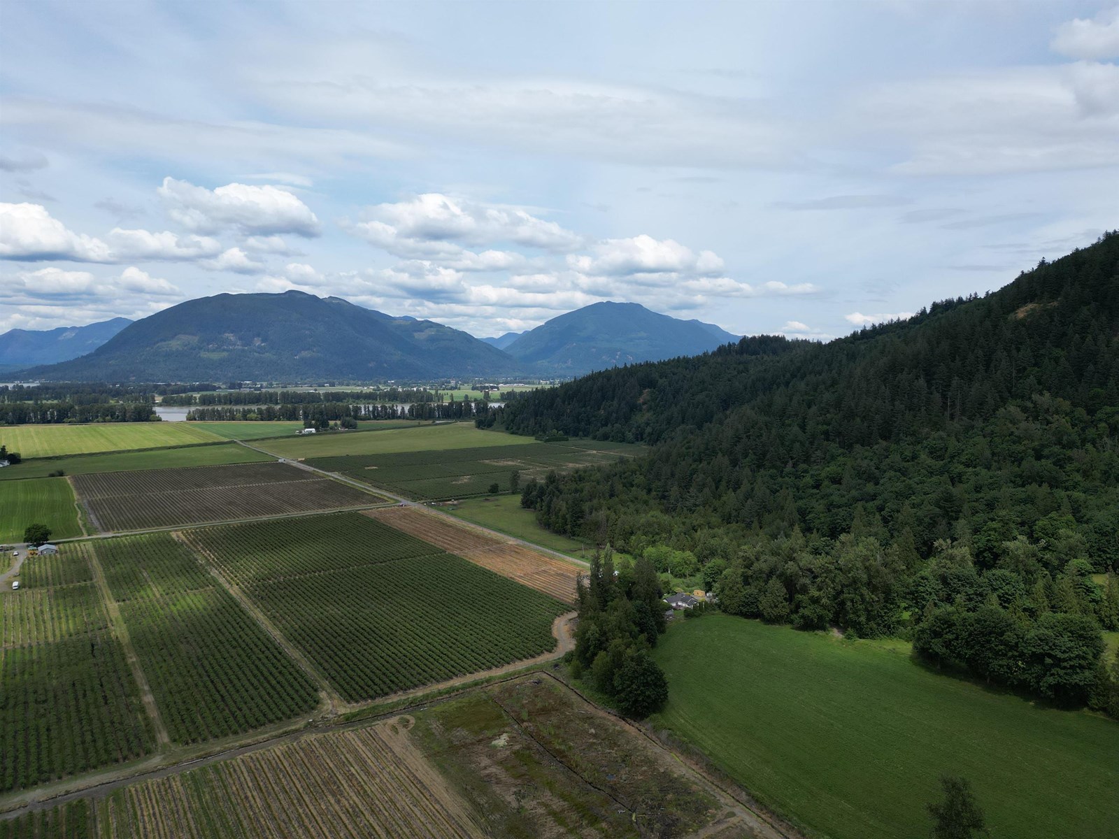 35925 FORE ROAD, Abbotsford