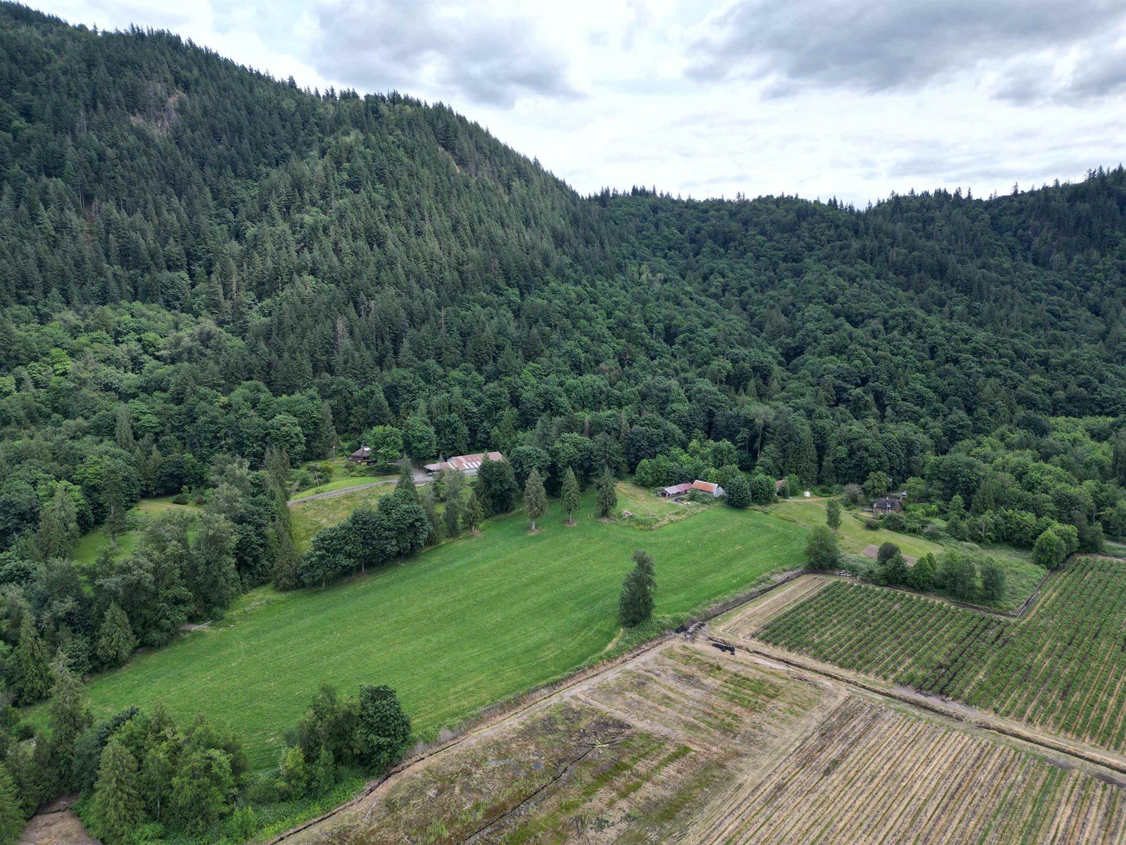 35925 FORE ROAD, Abbotsford