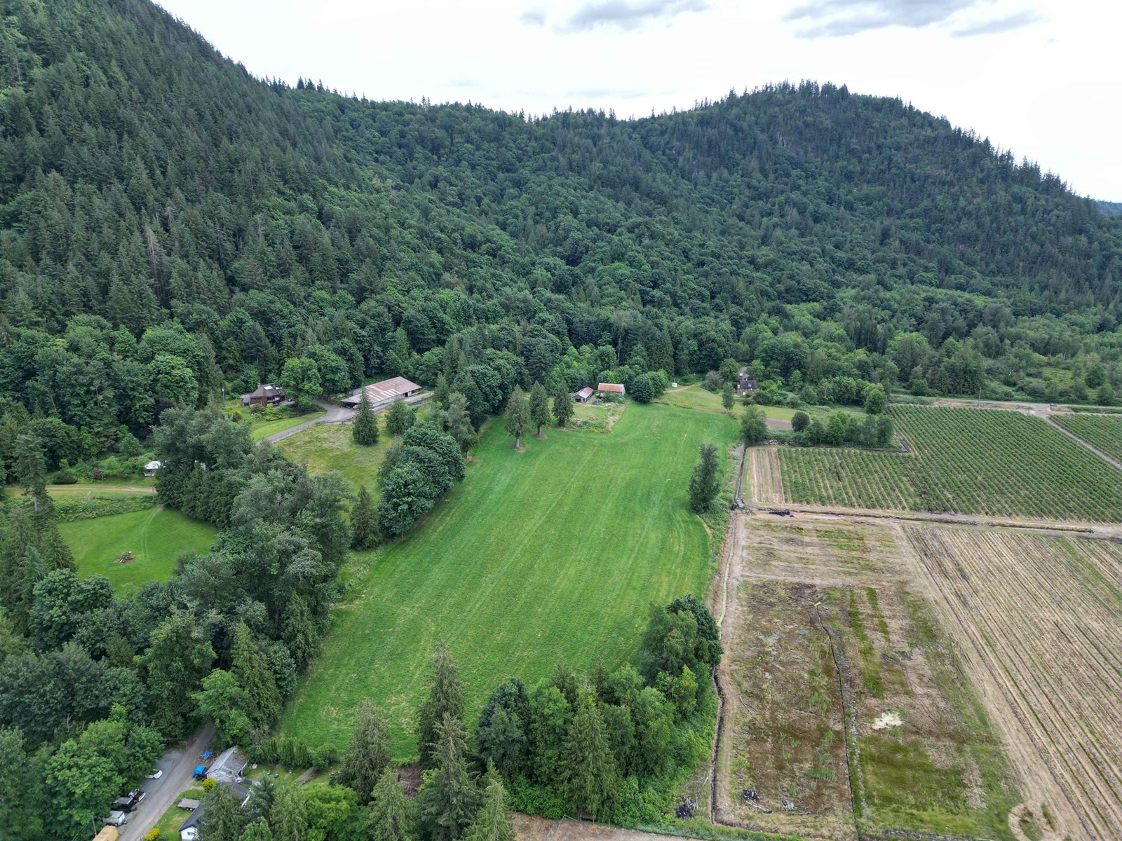 35925 FORE ROAD, Abbotsford