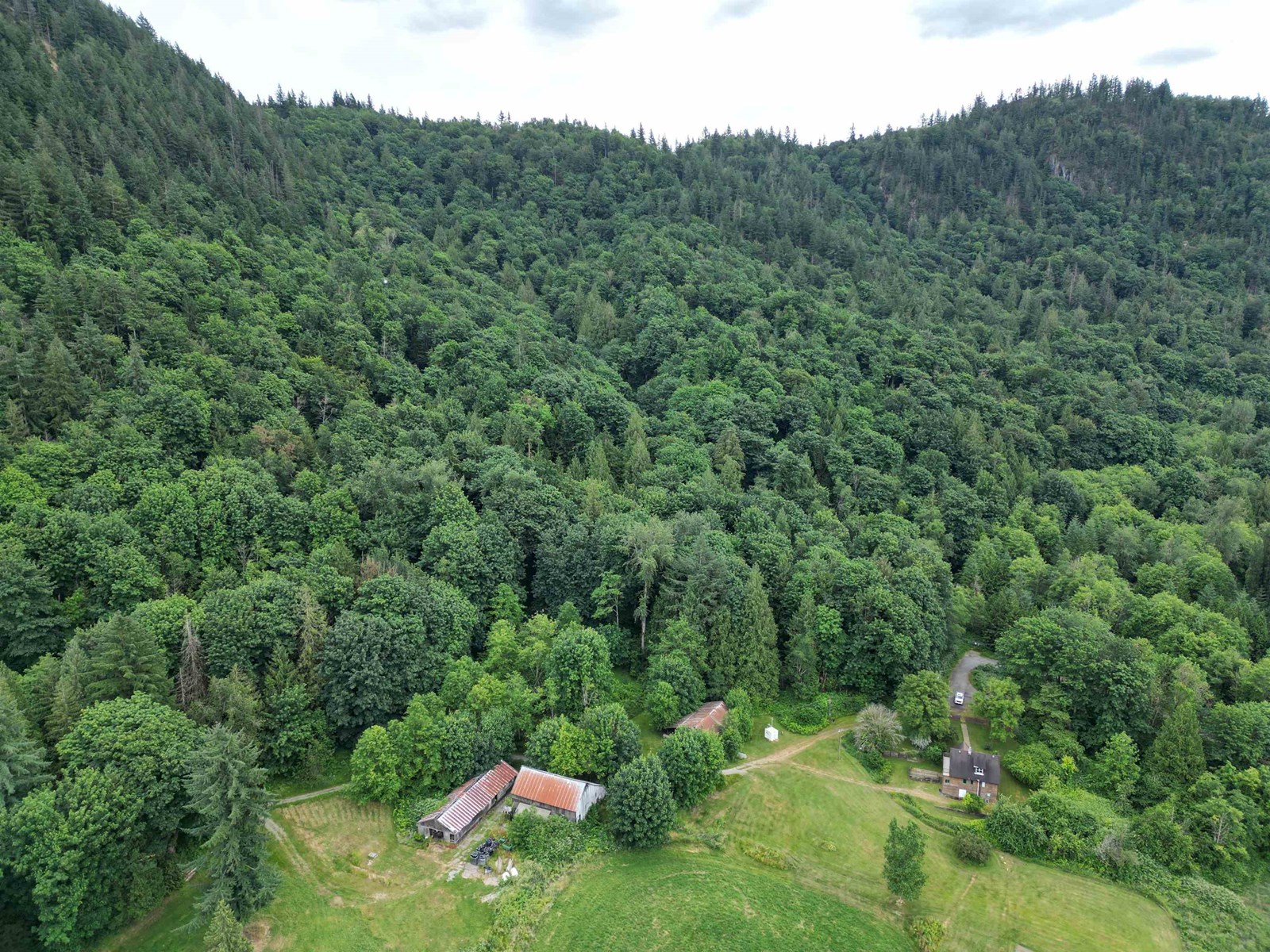 35925 FORE ROAD, Abbotsford