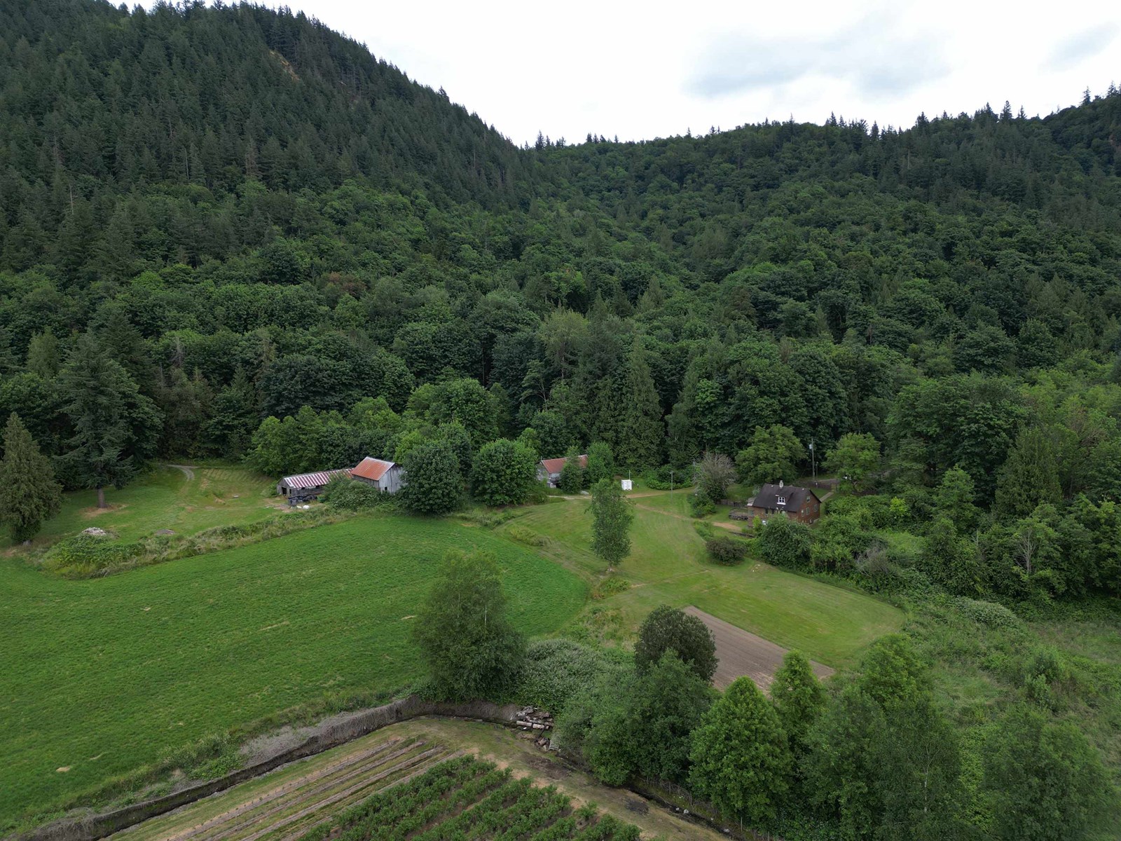 35925 FORE ROAD, Abbotsford