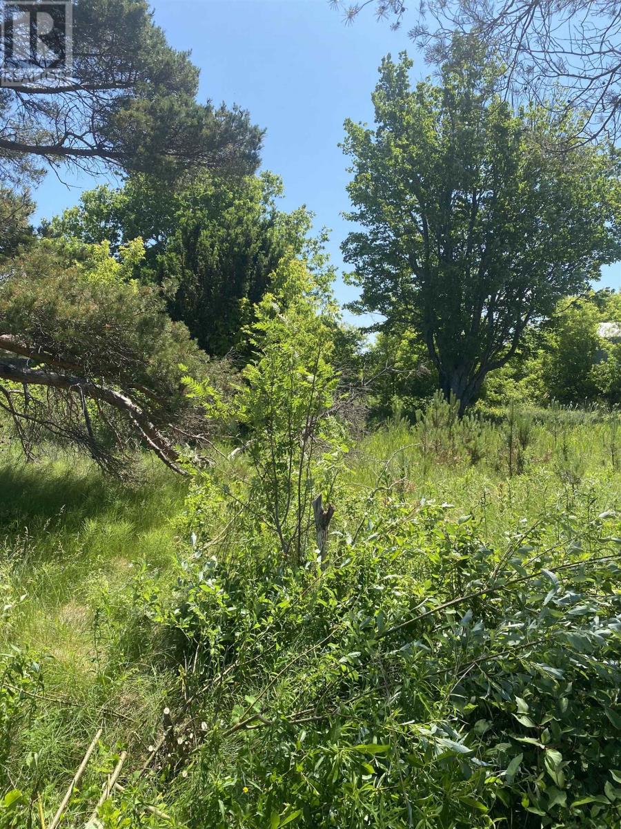 381 Rte 14 - Photo 2 of 7, Coleman, Prince Edward Island