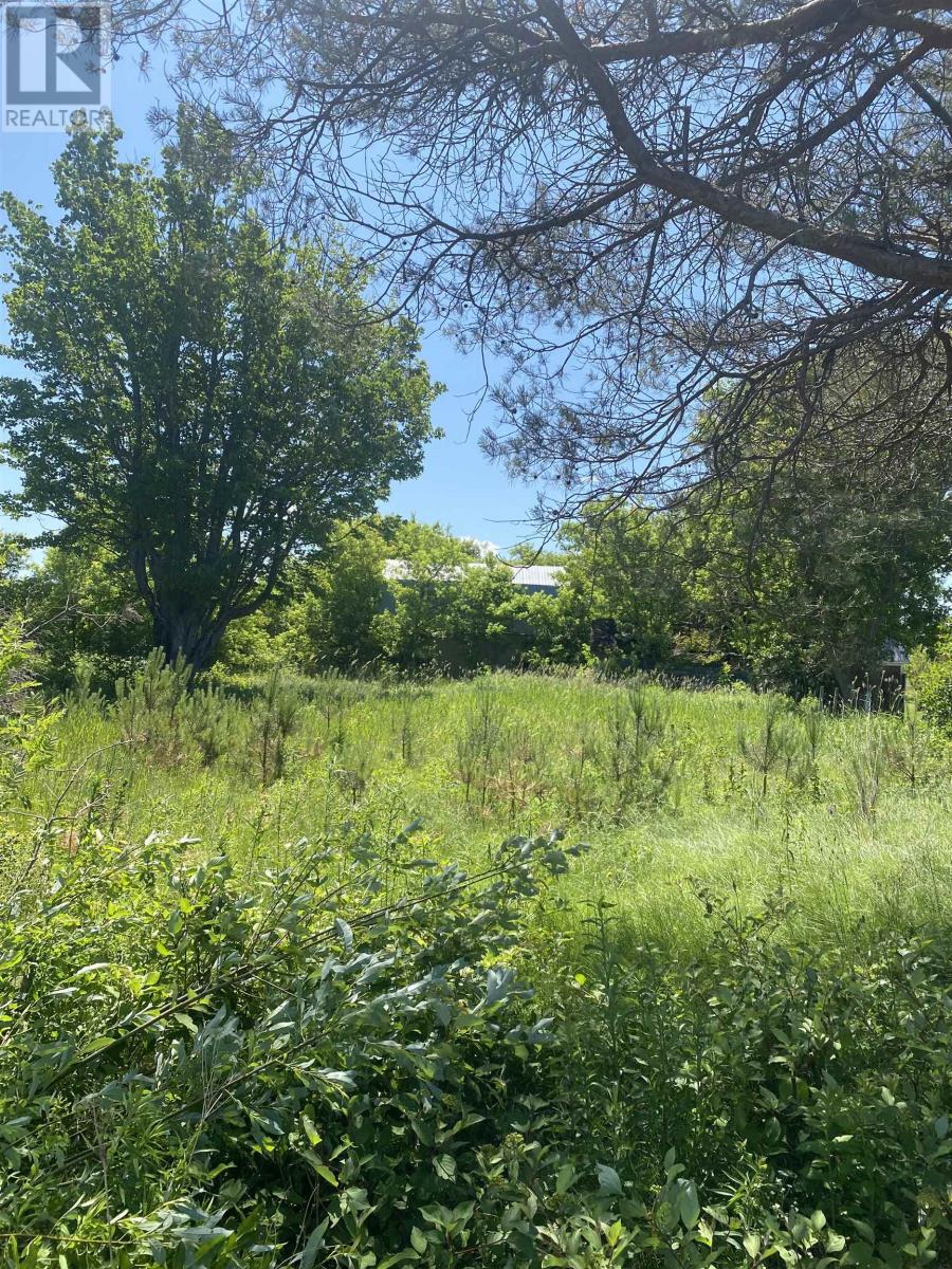 381 Rte 14 - Photo 4 of 7, Coleman, Prince Edward Island