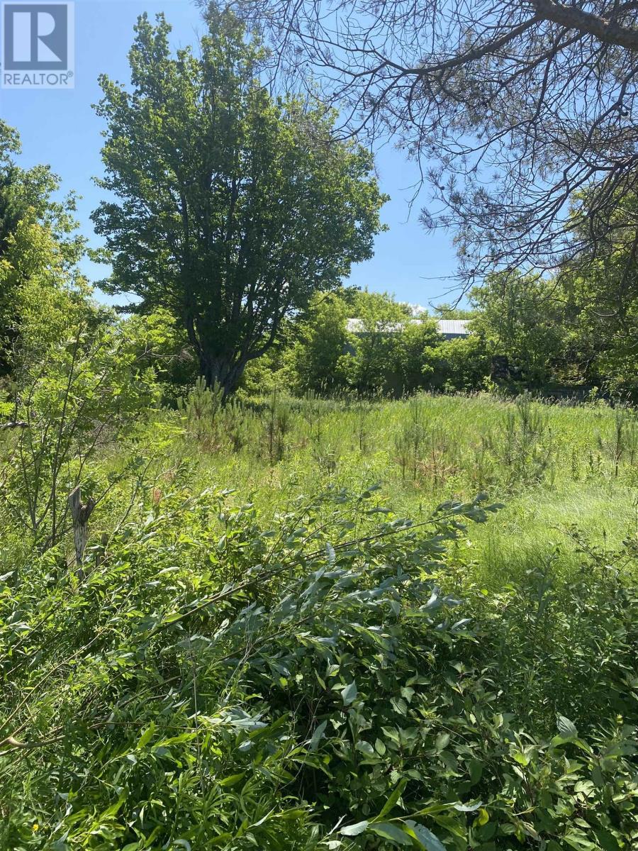 381 Rte 14 - Photo 5 of 7, Coleman, Prince Edward Island