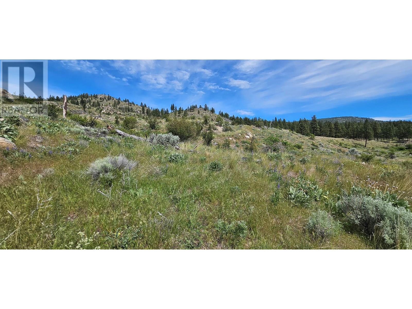 389 Chapman Road, Osoyoos
