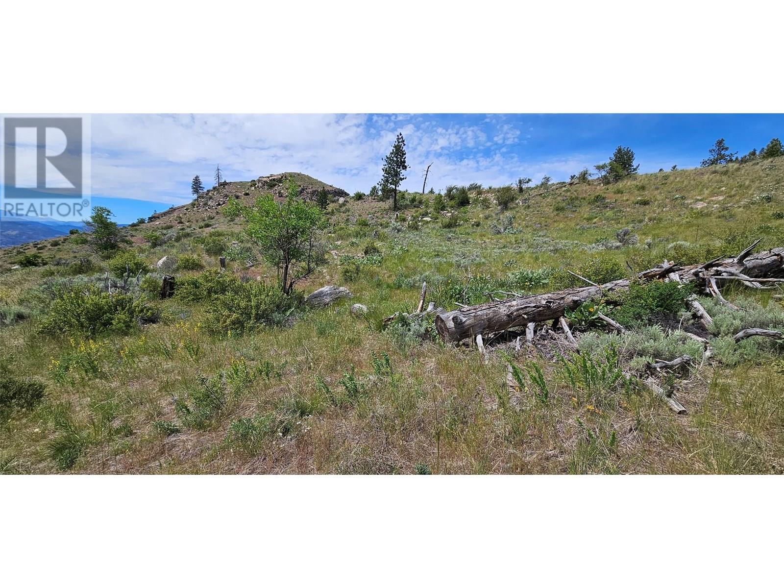 389 Chapman Road, Osoyoos