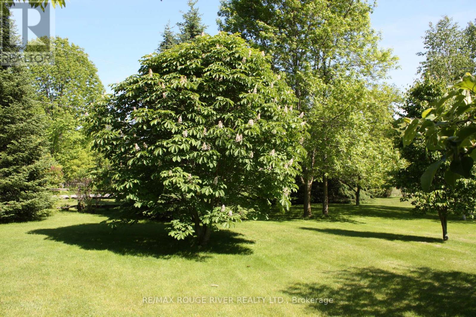 Photo 39 of 412 Barnum House Road, Alnwick Haldimand ON