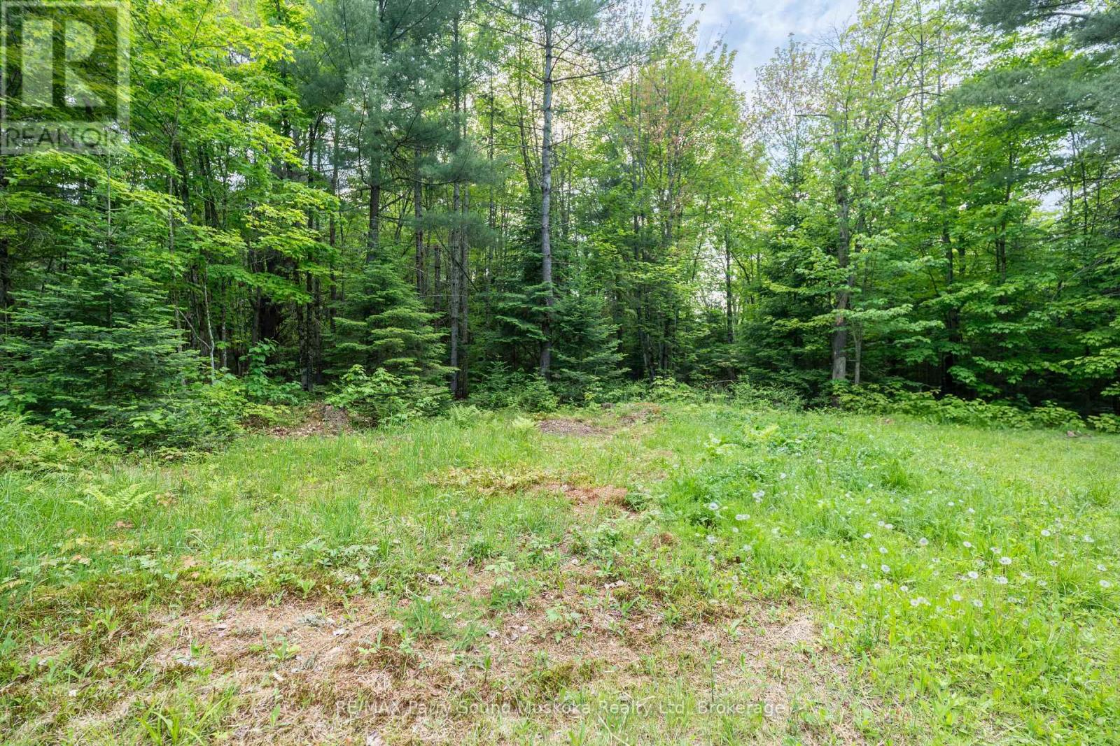 Photo 23 of 141 Middle Road, Mcmurrich Monteith ON