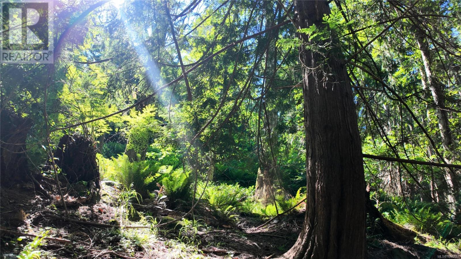 4480 Strachan Rd, Hornby Island