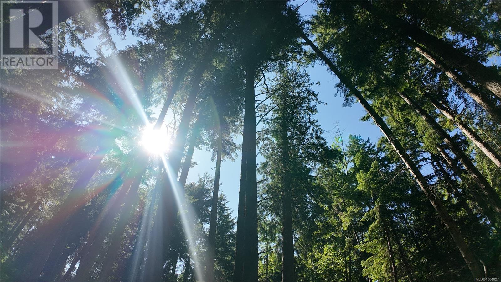 4480 Strachan Rd, Hornby Island