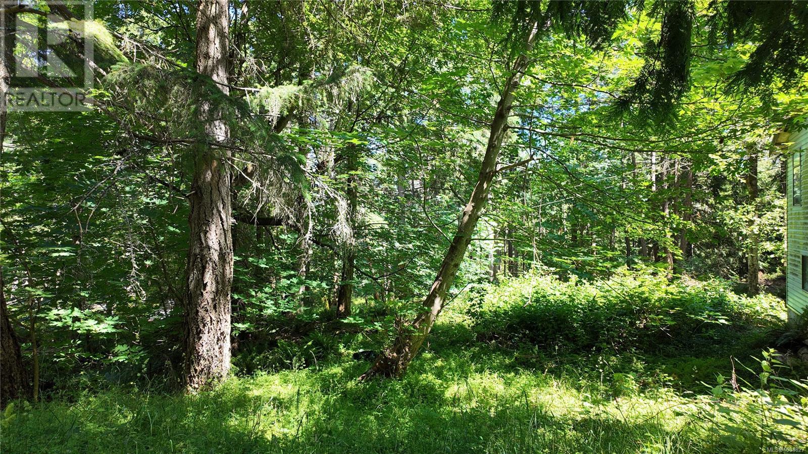 4480 Strachan Rd, Hornby Island