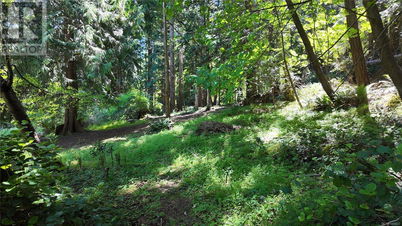 4480 Strachan Rd, Hornby Island