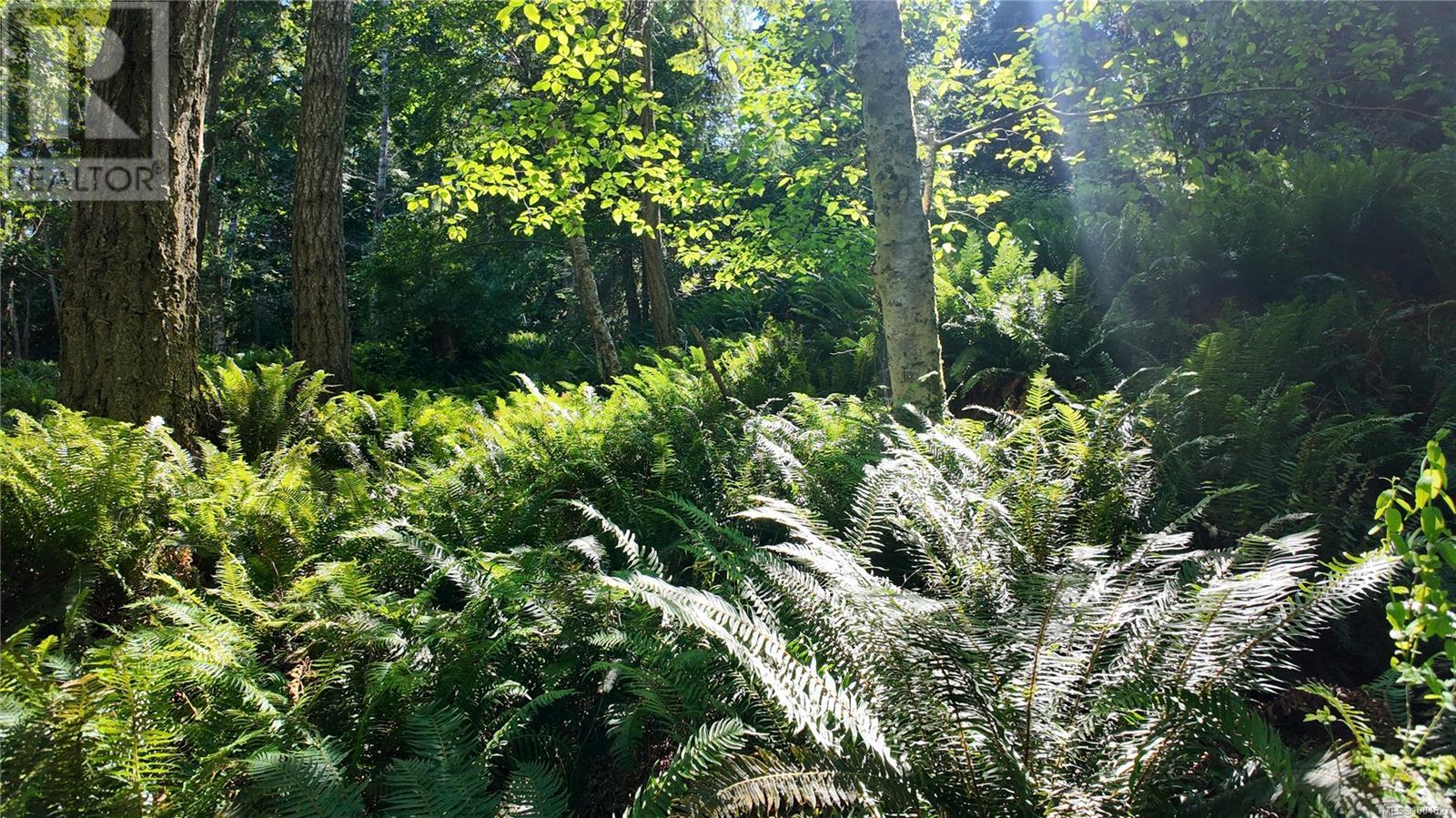 4480 Strachan Rd, Hornby Island