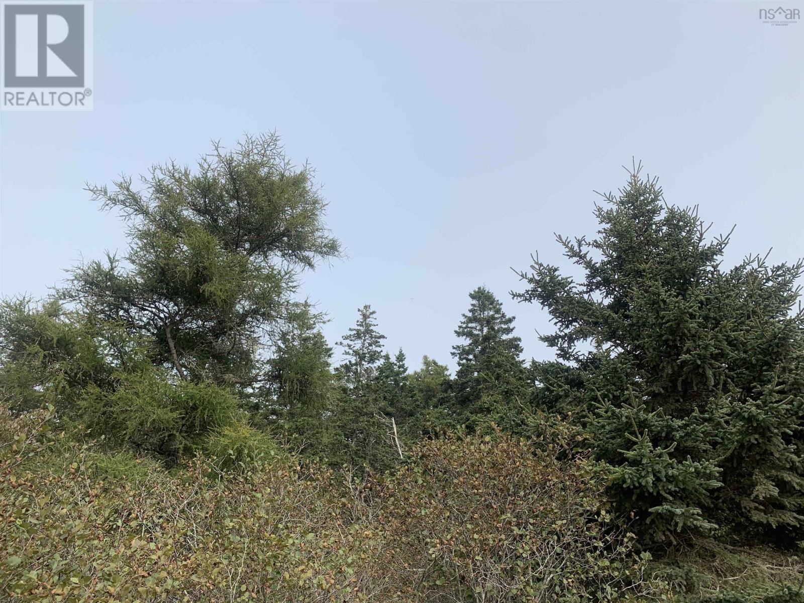 Property 6 of 12 of Lot C Leblanc Branch Road