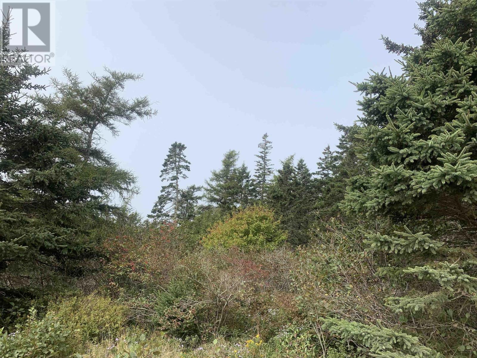 Property 8 of 12 of Lot C Leblanc Branch Road