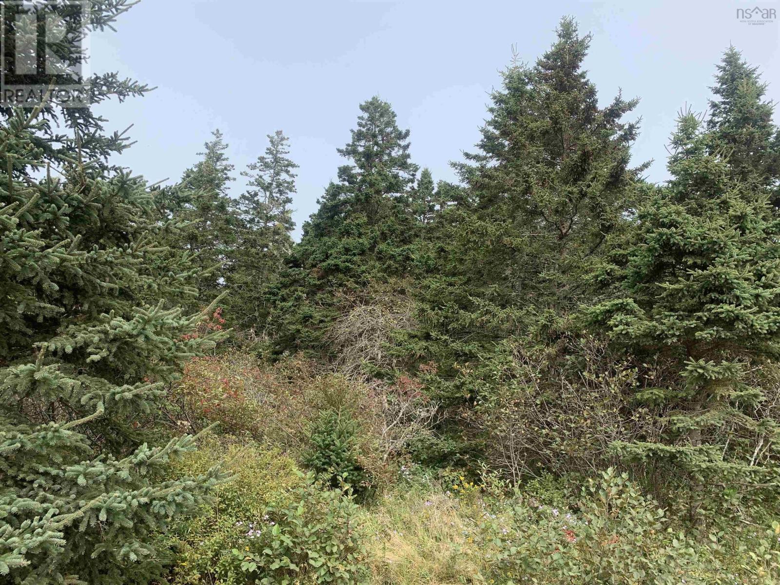 Property 7 of 12 of Lot C Leblanc Branch Road