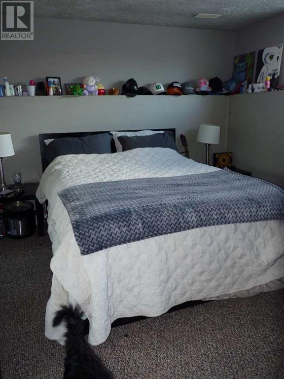 Single Family House Bi-level for Sale in   A Avenue Mountview Grande Prairie 