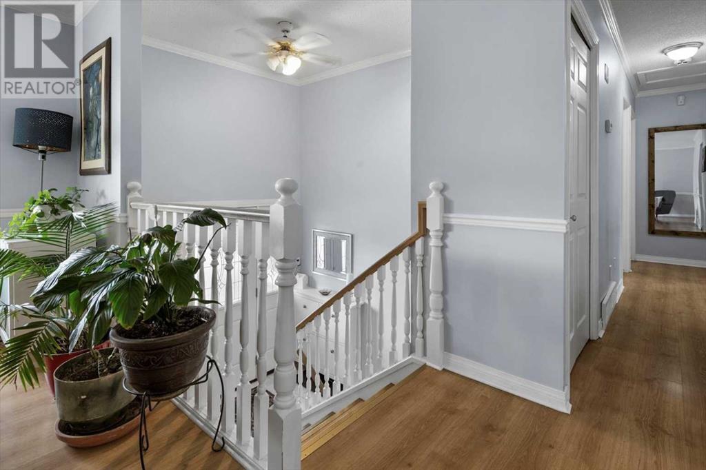 Single Family House Bi-level for Sale in  Cedar Ridge Drive SW Cedarbrae Calgary 