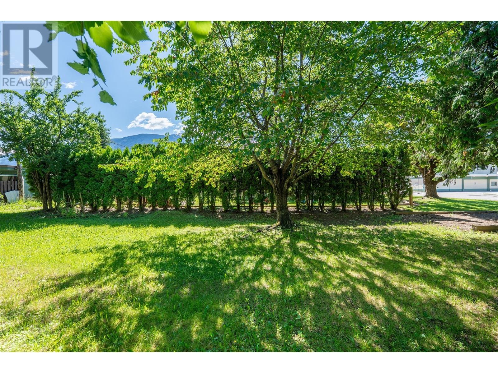 500/502 Tenth Street, Revelstoke