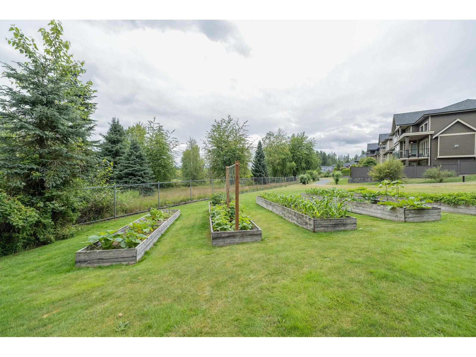 Photo 39 of 7 24455 61 Avenue, Langley BC
