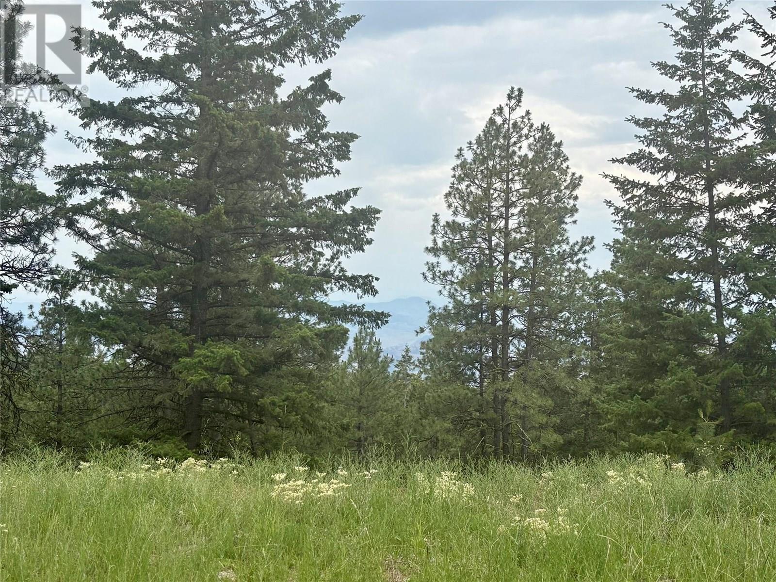 980 Bullmoose Way, Osoyoos