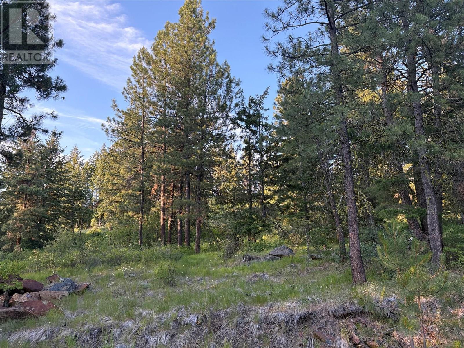 980 Bullmoose Way, Osoyoos