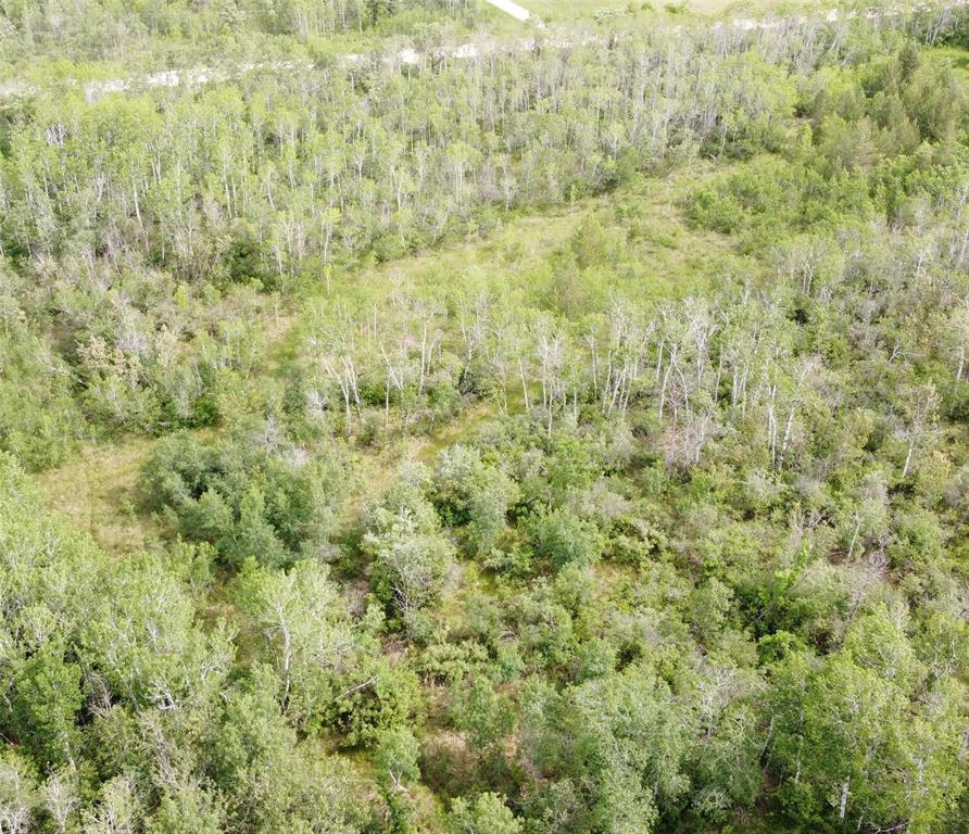 Photo 29 of 2 12 Road N, Roseau River MB