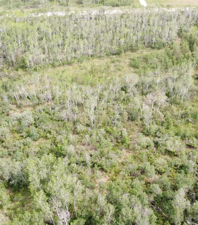 Photo 30 of 2 12 Road N, Roseau River MB
