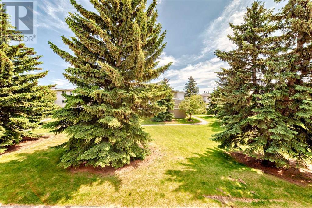 Photo 15 of 111 3015 51 Street Sw, Calgary AB