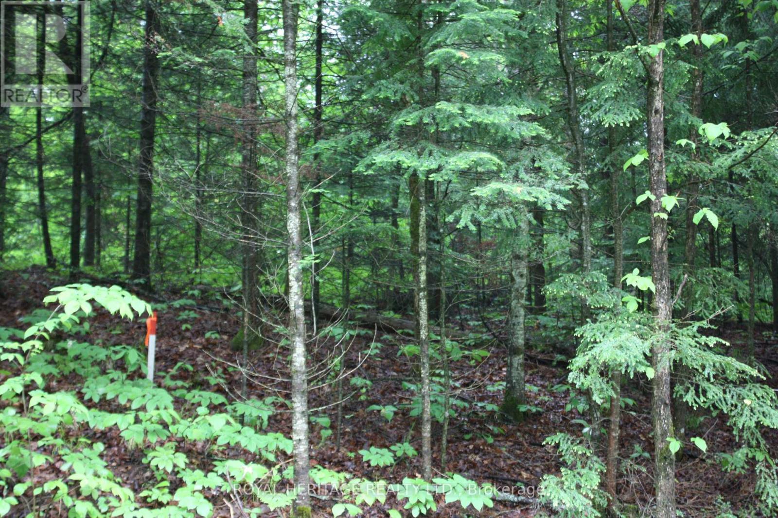 Photo 1 of 0 Quarry Road, Bancroft ON