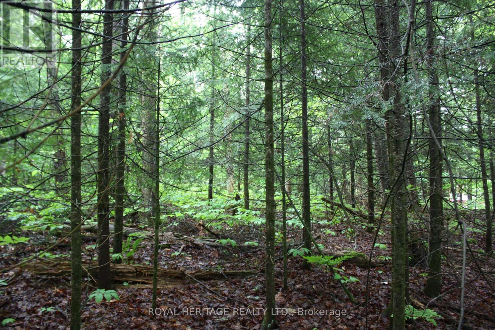 Photo 2 of 0 Quarry Road, Bancroft ON