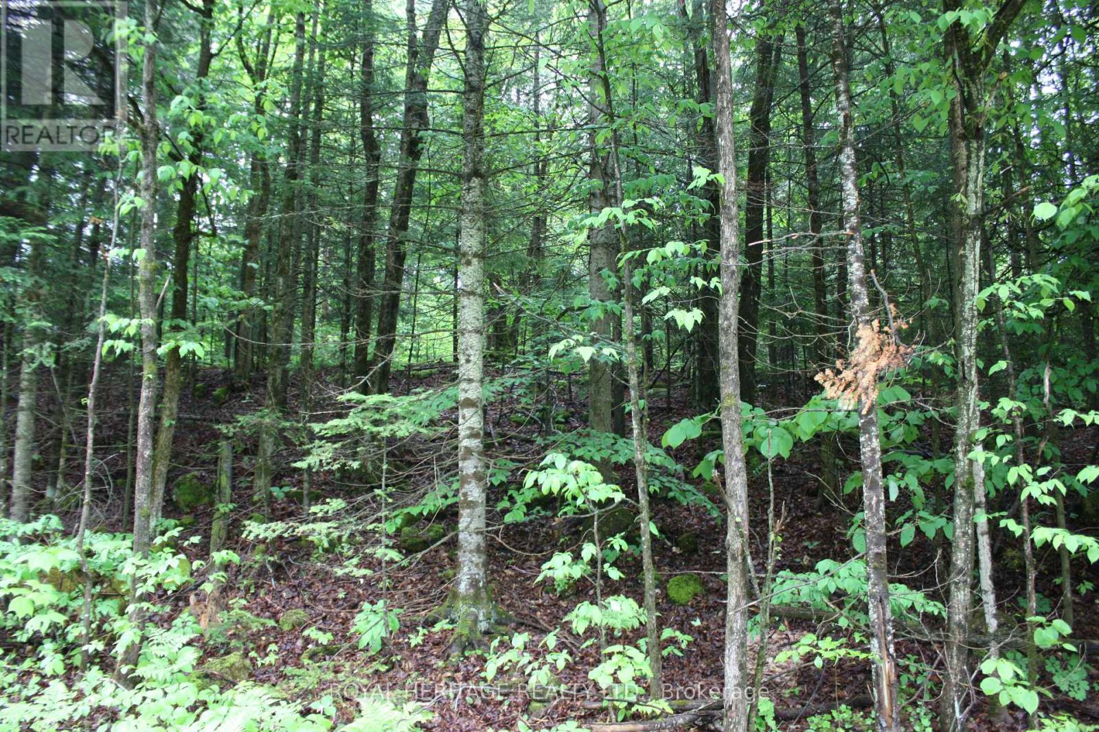 Photo 4 of 0 Quarry Road, Bancroft ON