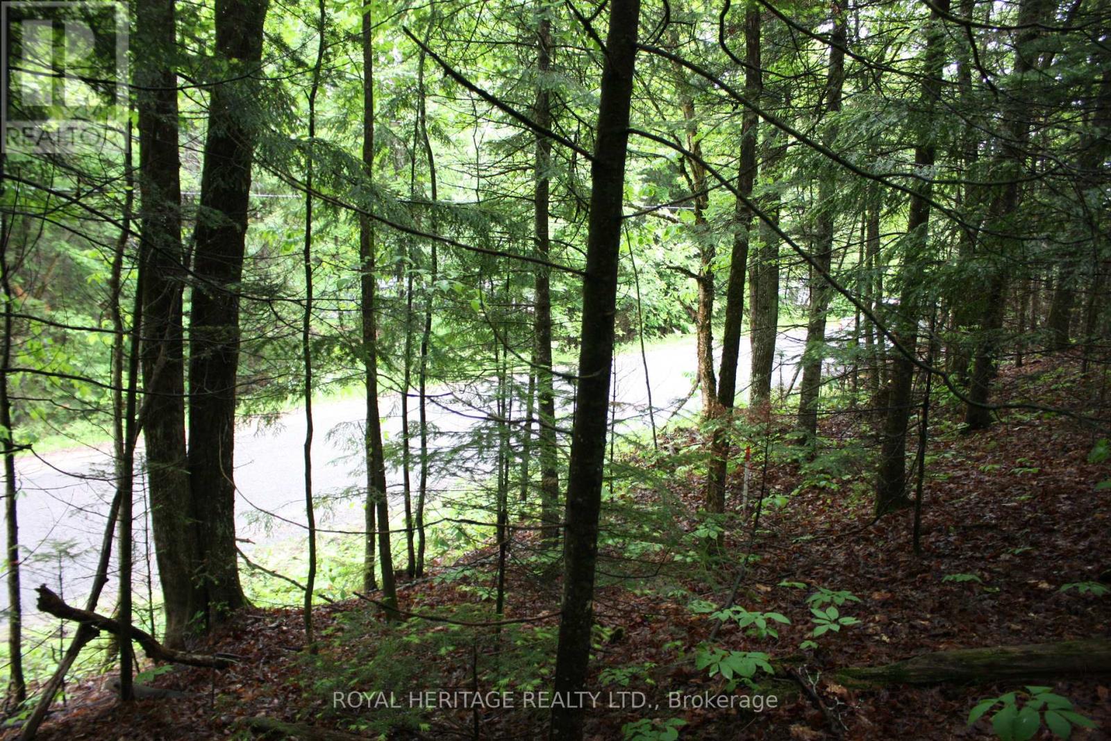 Photo 5 of 0 Quarry Road, Bancroft ON