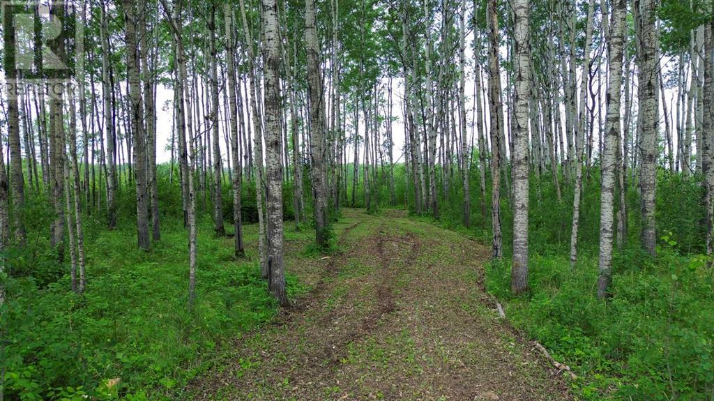 Photo 25 of 18 Prosser Drive, Branch Lake SK