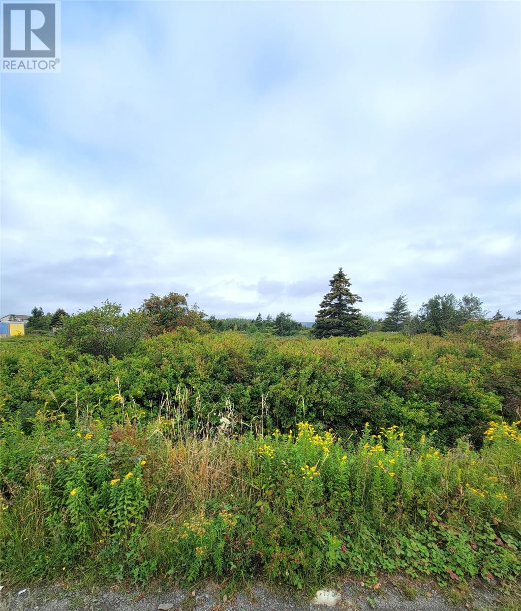 Photo 2 of 70 A Central Street, Bay Roberts NL