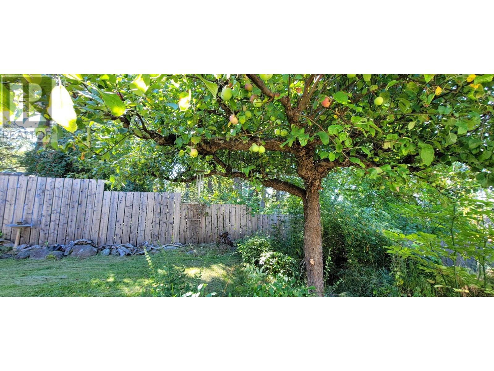 Photo 43 of 515 9th Avenue, New Denver BC
