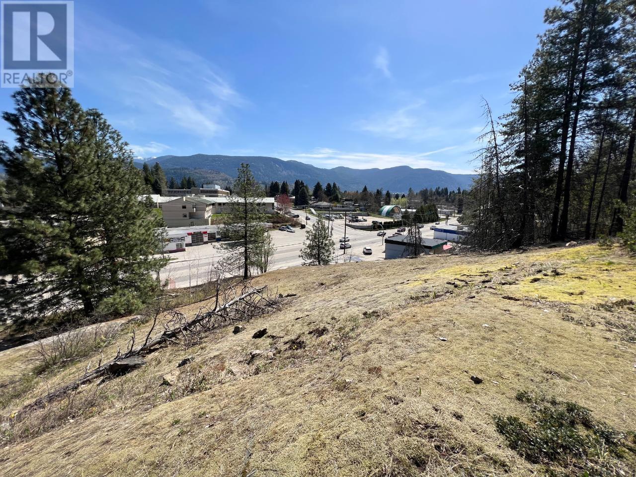 944 COLUMBIA Avenue, Castlegar
