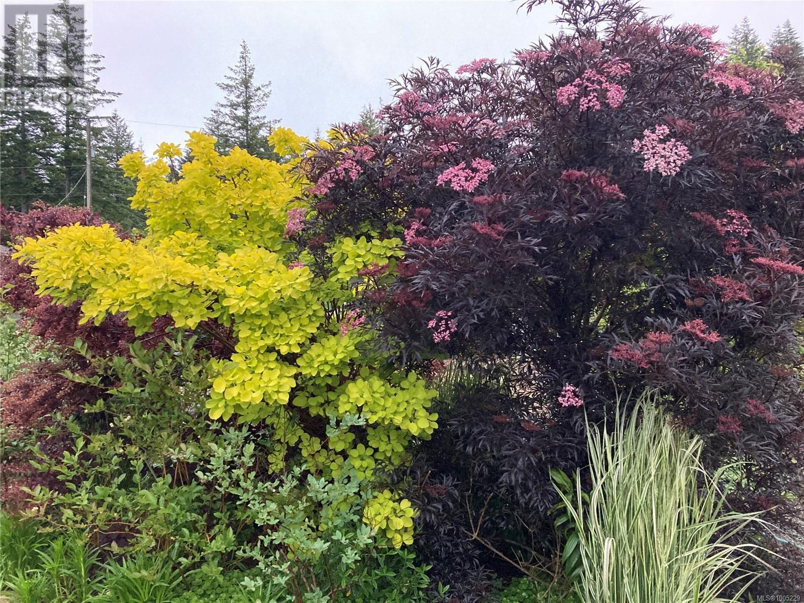 220 Irene Rd, Quadra Island