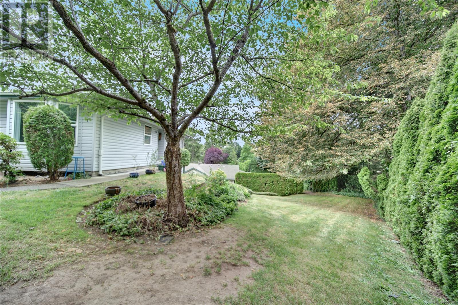 Photo 6 of 1 259 Craig St, Nanaimo BC