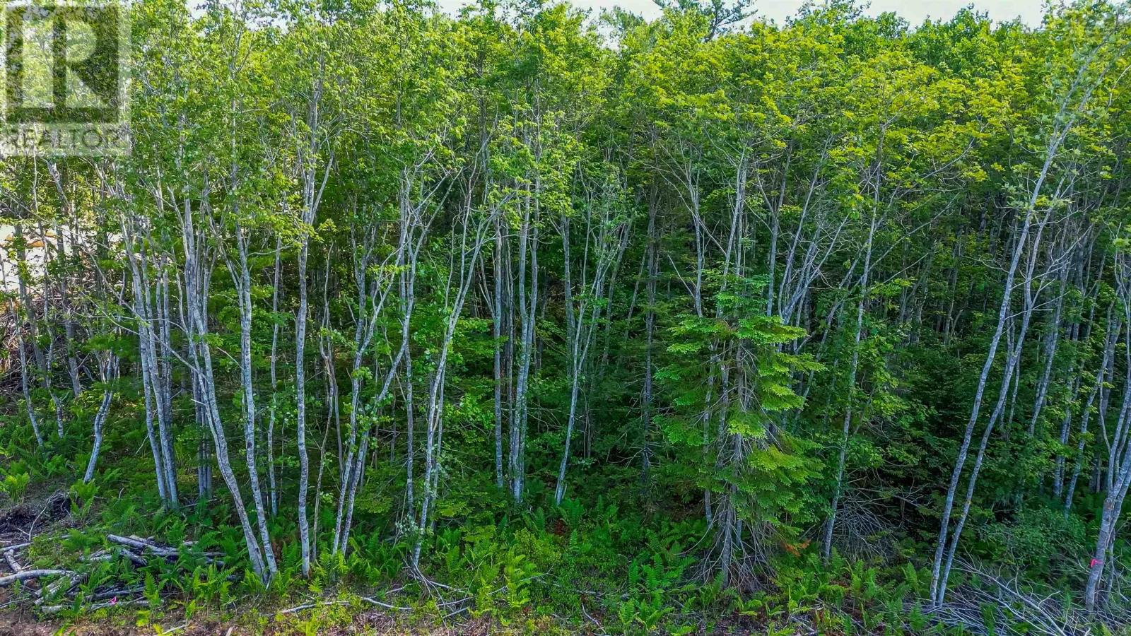 Property 4 of 5 of 69 Morton Drive