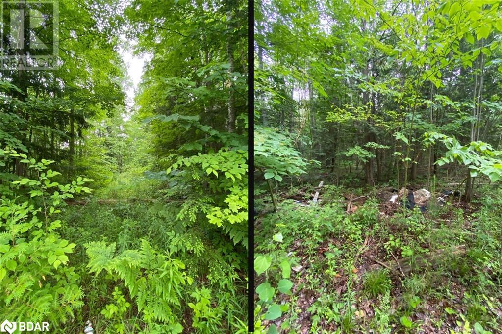 Photo 3 of 2580 6th Line, Innisfil ON
