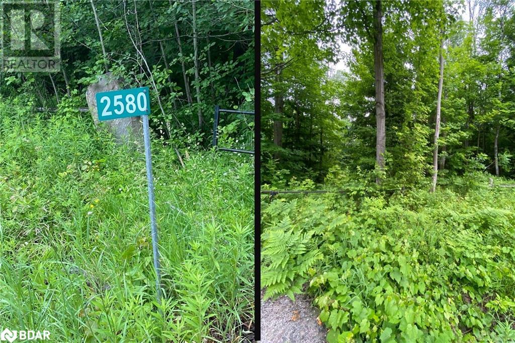 Photo 4 of 2580 6th Line, Innisfil ON