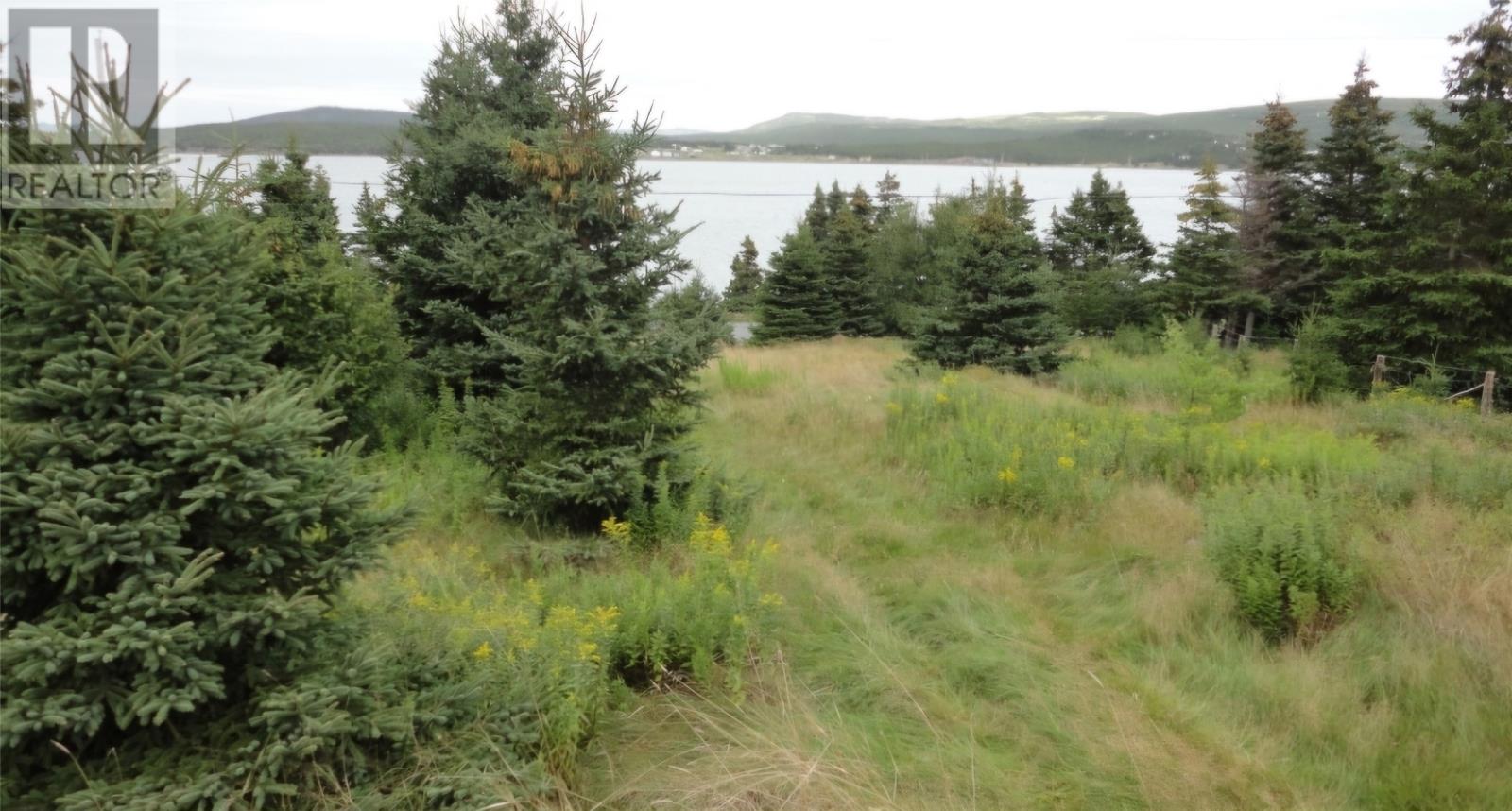 Photo 9 of 480 West Side Road, Greens Harbour NL