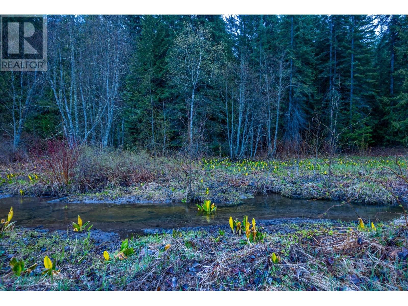1097 LAKEVIEW ARROW CREEK Road - 36