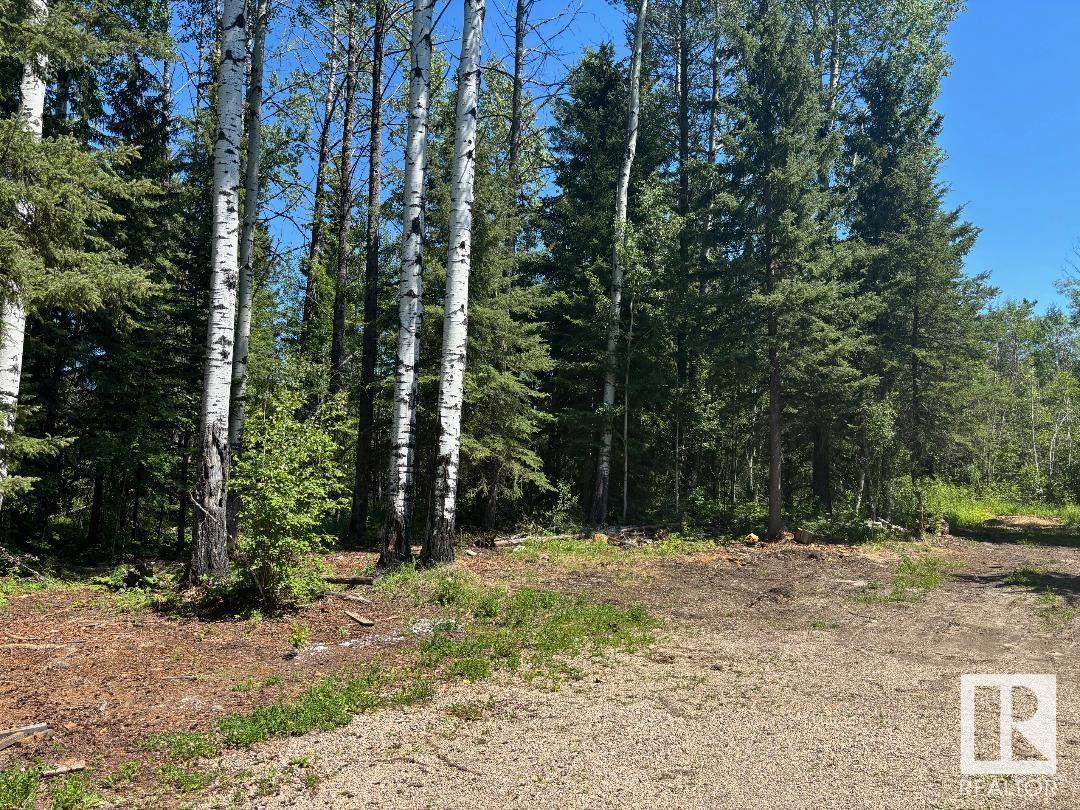 Photo 38 of 452074 Rge Road 73, Rural Wetaskiwin County AB