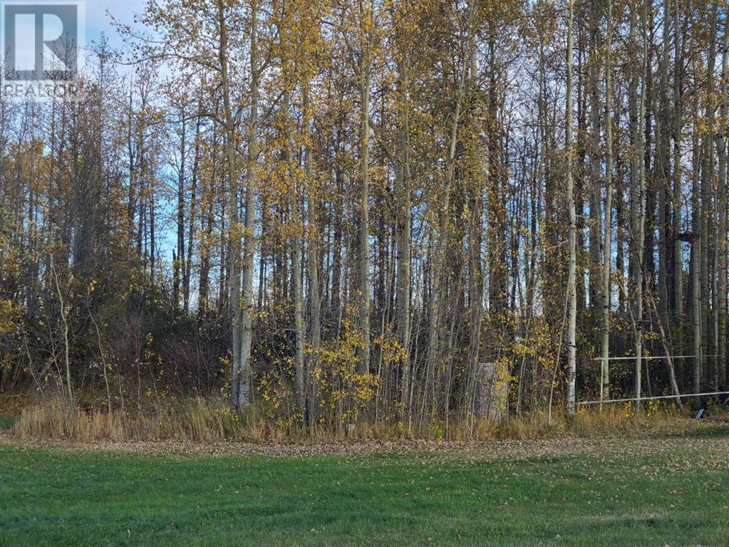 Photo 20 of Lot 13 70539 Rr 250, Rural Greenview No 16 Md Of AB