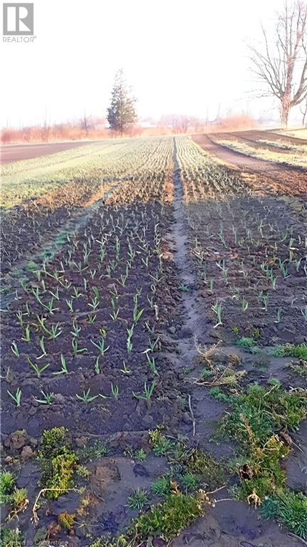 Photo 23 of 43670 Sider Road, Wainfleet ON
