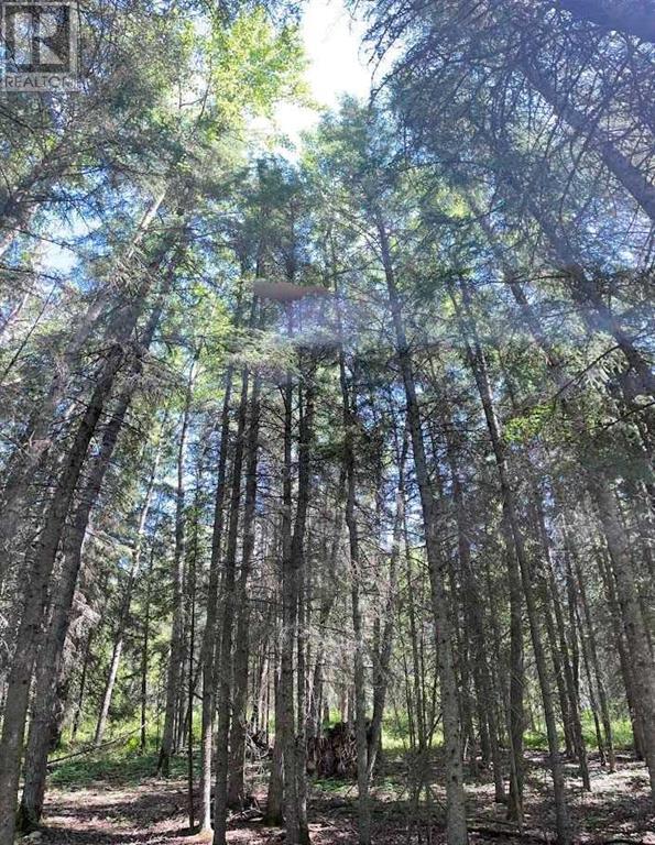 Photo 16 of 221054 670 Township, Rural Athabasca County AB