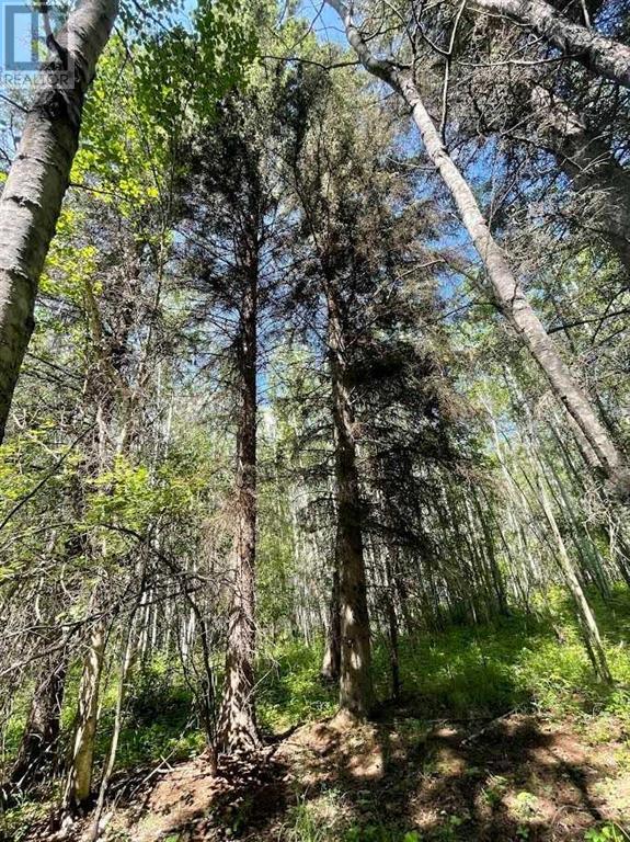 Photo 15 of 221054 670 Township, Rural Athabasca County AB